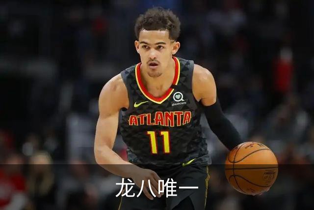 龙八唯一公司简介展示图